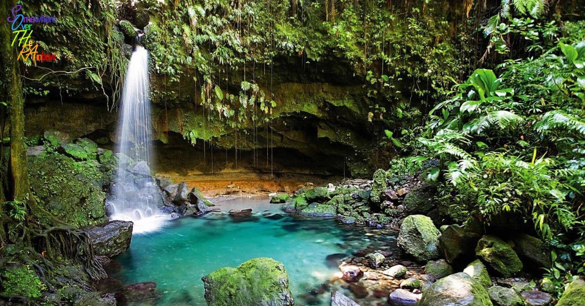 Dominica, una destinazione per avventurieri temerari