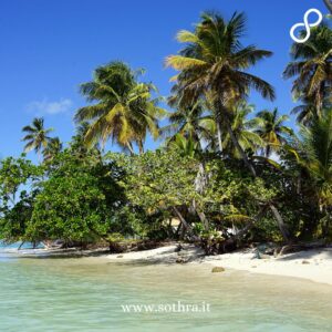 Benvenuti a Trinidad e Tobago: Un Paradiso Caraibico di Contrasti