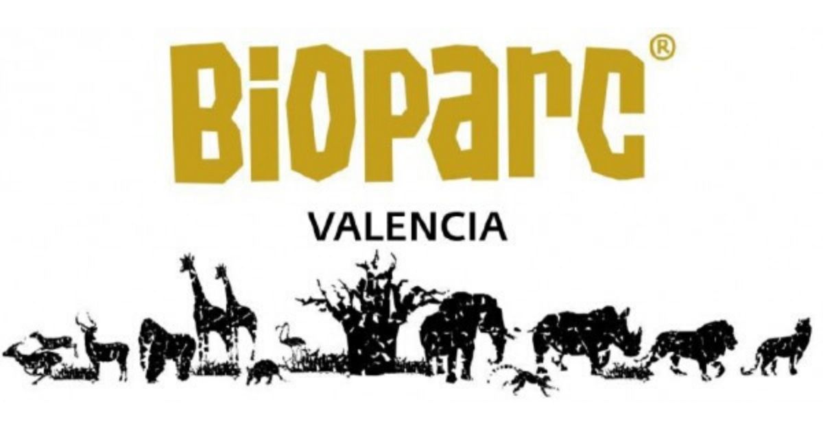 Valencia e l’icredibile BIOPARC – un patchwork africano nel cuore della Spagna