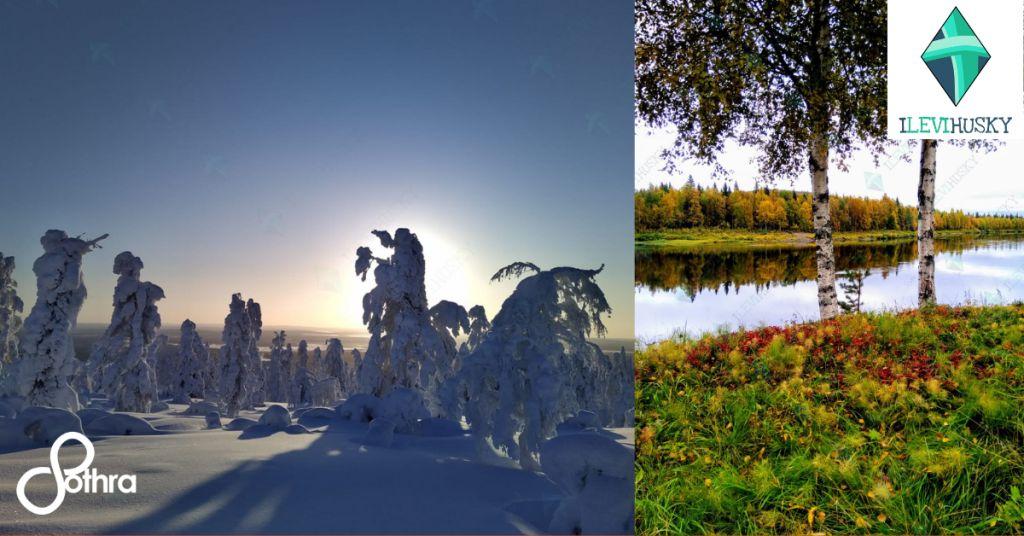 vacanze in lapponia - visitare la finlandia - il luogo migliore per vedere l'aurora boreale - crociera ai fiordi - sothra vacanze - viaggiare into the wild