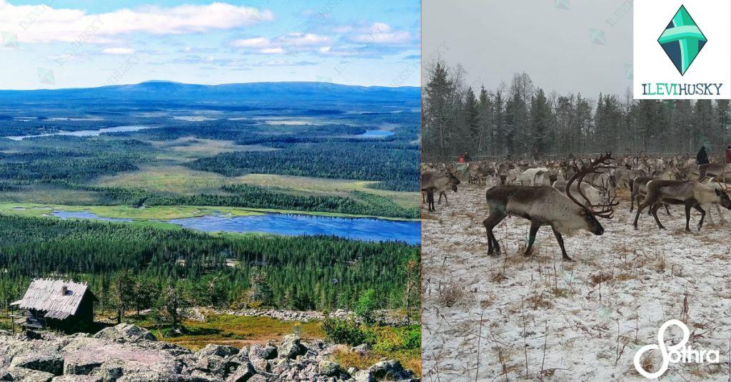 vacanze in finlandia - vacanze in lapponia - viaggiare con sothra - scoprire terre selvagge - into the wild - viaggio in nord europa - dove vedere l'aurora boreale