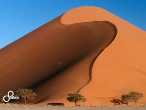 Viaggio di nozze in Namibia