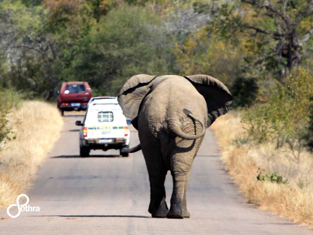 itinerario di viaggio in sudafrica