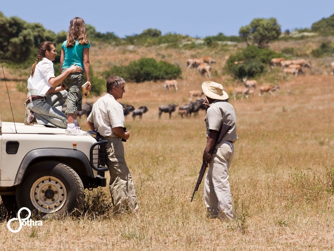 cosa vedere in sudafrica