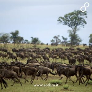 Avventure Indimenticabili: Tanzania
