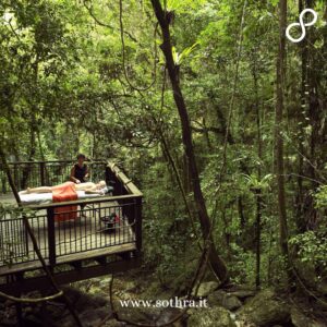 FAQ - Domande frequenti sul Daintree National Park