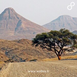 Consigli pratici per visitare il Damaraland