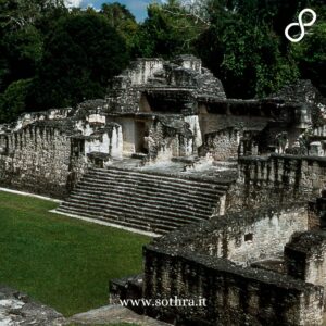 Natura e fauna: la giungla che avvolge Tikal
