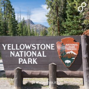 Yellowstone National Park, il primo parco nazionale al mondo: geyser, fauna selvatica e paesaggi vulcanici