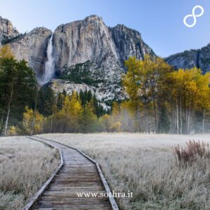 Yosemite National Park, California: tra vette granitiche, cascate spettacolari e foreste di sequoie giganti