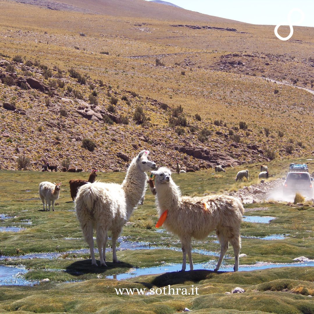 FAQ – Domande Comuni per il Tour Mamacocha in Bolivia