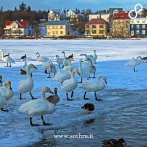Reykjavík: una città che dialoga con l’infinito