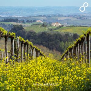 Un itinerario di 3 giorni alla scoperta dei vini toscani