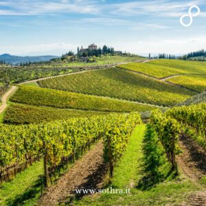 Chianti, l'anima del vino toscano
