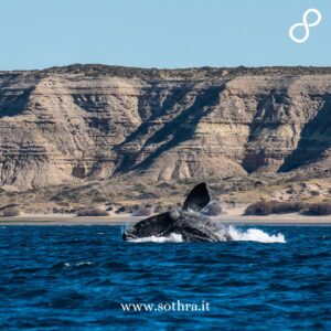 La Penisola Valdés, situata nella provincia di Chubut in Patagonia