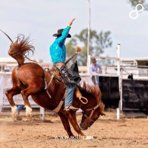 Visita a una rodeo arena in Wyoming