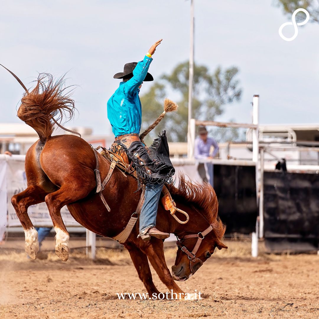 Visita a una rodeo arena in Wyoming