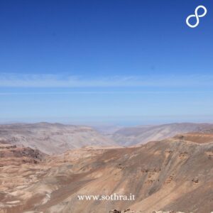 A soli 10 chilometri da Arica, la verde Valle di Azapa rappresenta un'oasi di vita nel cuore del deserto