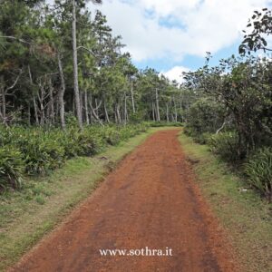 Terre colorate di Chamarel e Black River Gorges