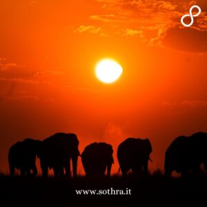 Parco Chobe – Il delta dell’Okavango ed il Kalahari