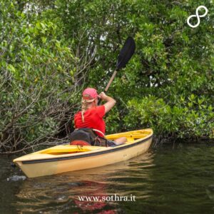 +1 Bonus: Kayak attraverso i tunnel di mangrovie di Nine Mile Pond