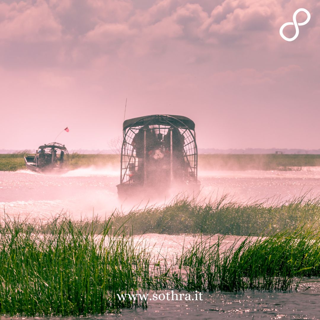 Pianificazione pratica: Quando visitare il "fiume d'erba" delle Everglades