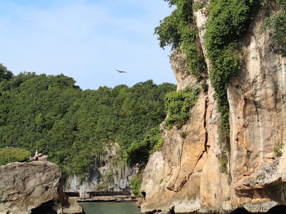 Parco Nazionale Los Haitises: Un Ecosistema Unico al Mondo La tua guida completa per esplorare un capolavoro naturale della Repubblica Dominicana