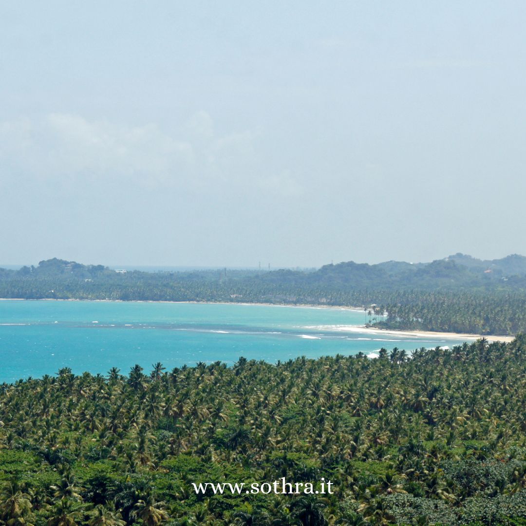 Parco Nazionale Los Haitises: Un Ecosistema Unico al Mondo La tua guida completa per esplorare un capolavoro naturale della Repubblica Dominicana