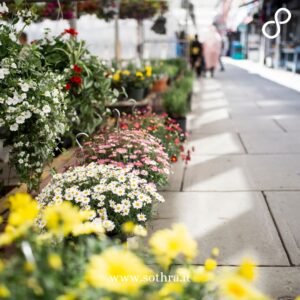 Il ByWard Market al tramonto – Dove la città si confida