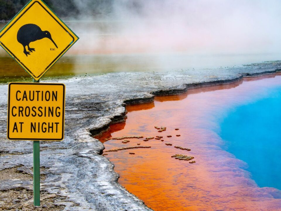 Rotorua: Il Cuore Geotermico della Nuova Zelanda La tua guida completa per esplorare un'attrazione imperdibile