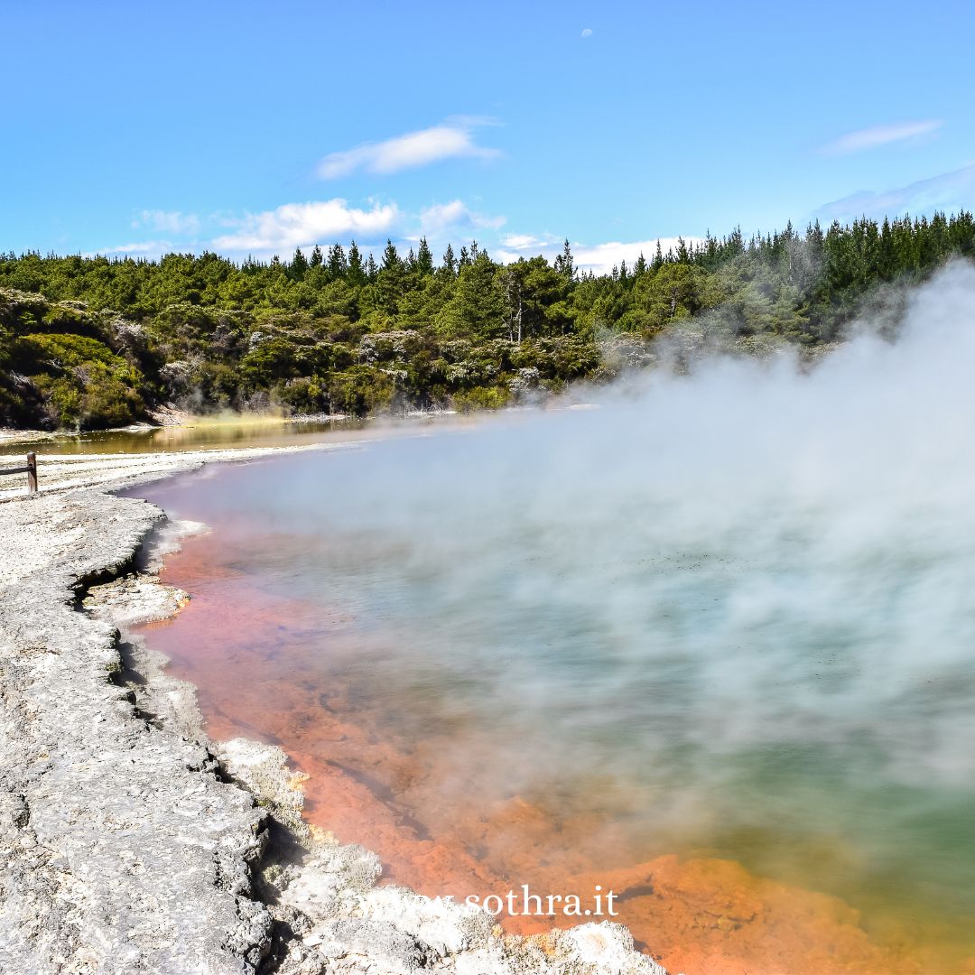 Gli elementi principali da non perdere a Rotorua