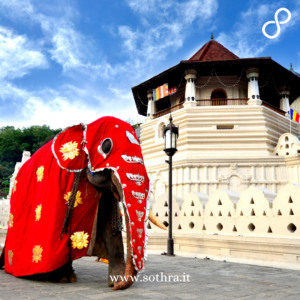 Kandy: La Dimora Sacra del Dente di Buddha