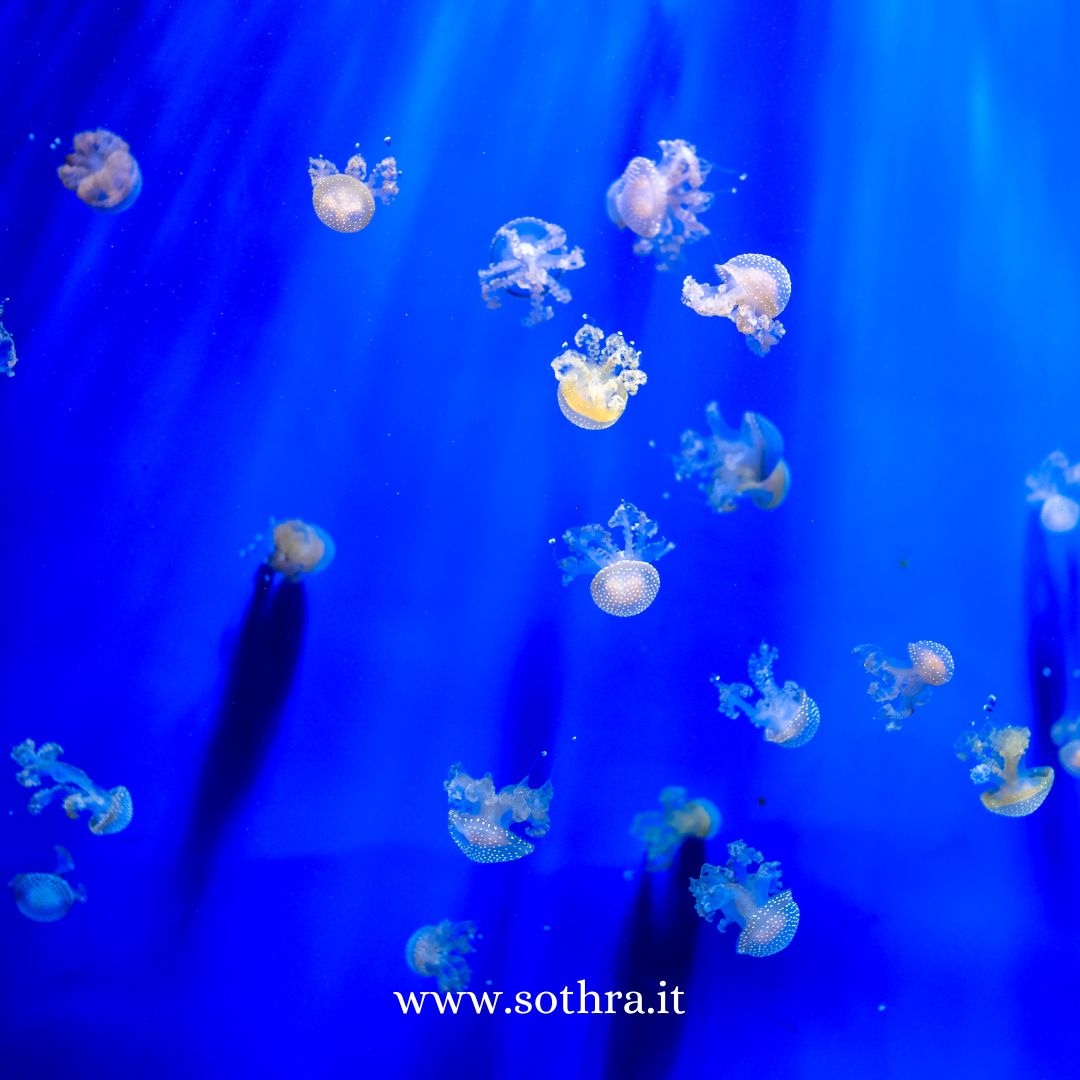 I 5 principali Oceanari d'Europa Una guida emozionale per esplorare mondi subacquei mozzafiato