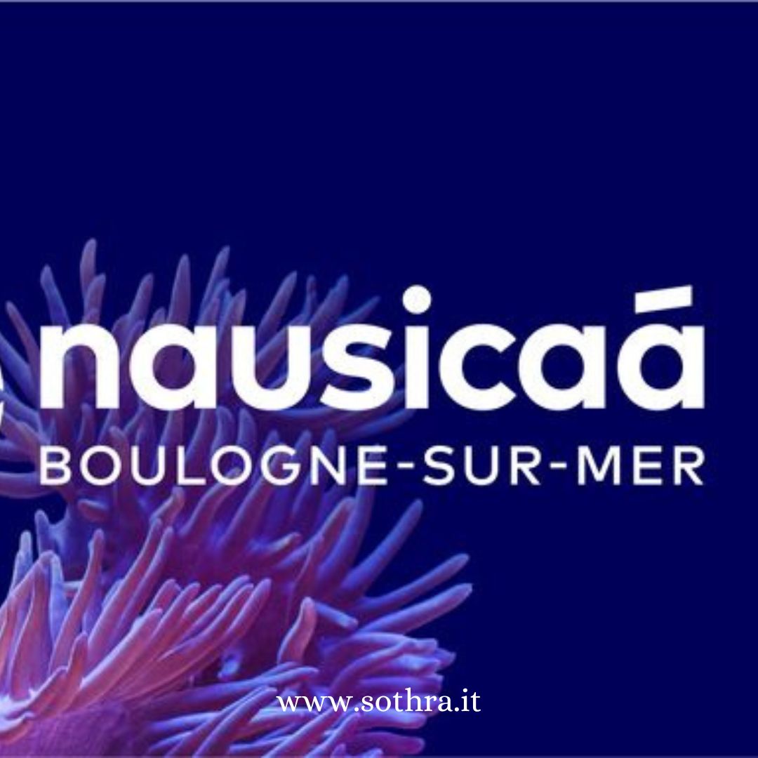 Gli shop degli oceanari offrono souvenir che vanno ben oltre i classici magneti e cartoline