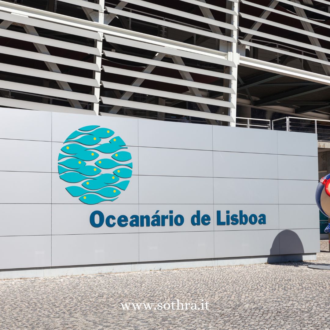 I 5 principali Oceanari d'Europa Una guida emozionale per esplorare mondi subacquei mozzafiato