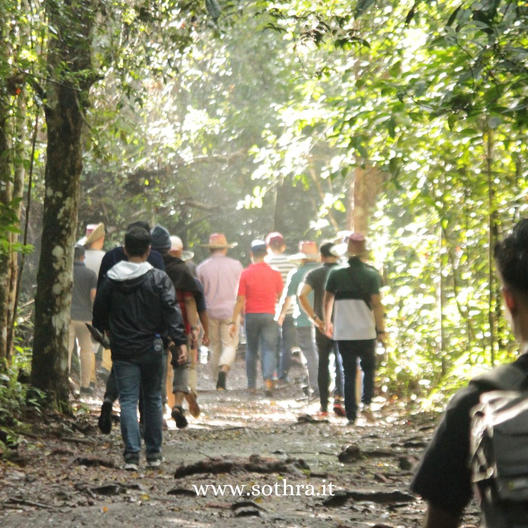 Come Muoversi a Tanjung Puting