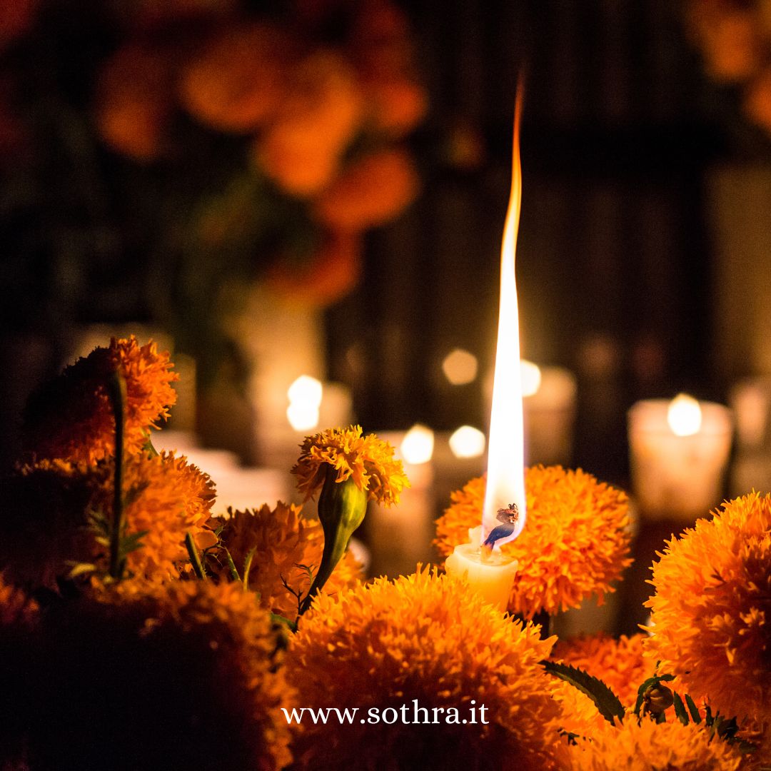 I Cimiteri: Giardini di Memoria